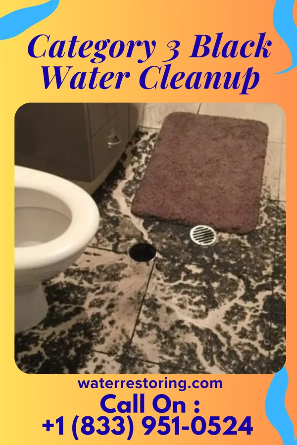 Category 3 Black Water Cleanup in Sharpsburg, KY