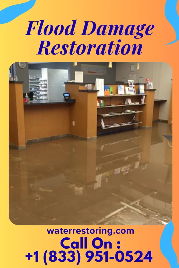 Flood Damage Restoration in Sharpsburg, KY