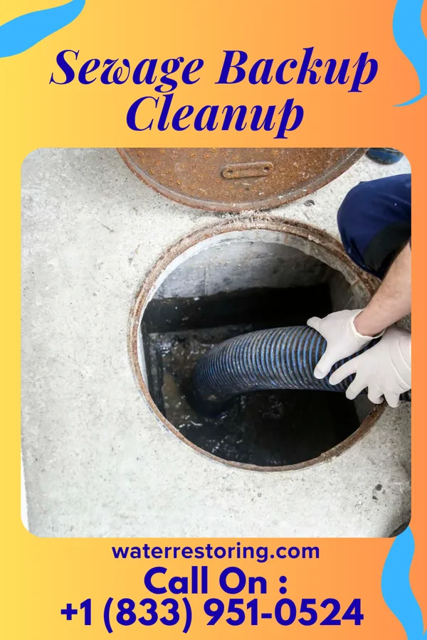 Sewage Backup Cleanup in Sharpsburg, KY