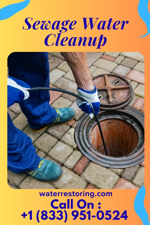 Sewage Water Cleanup in Sharpsburg, KY